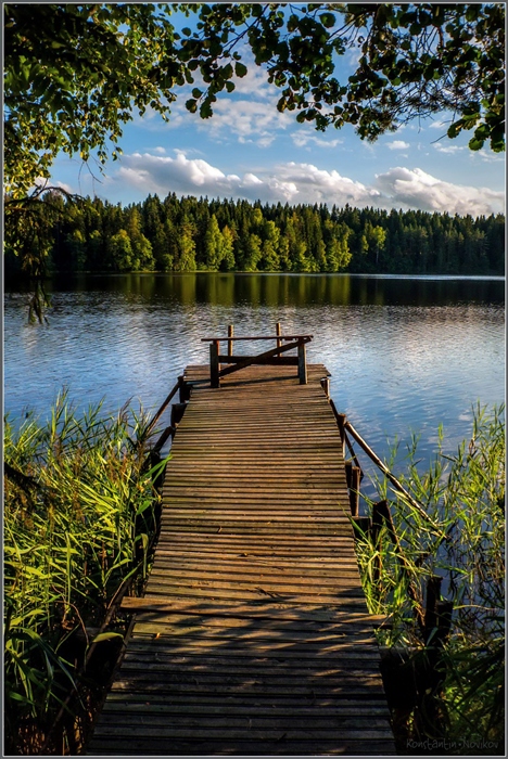 Фото жизнь