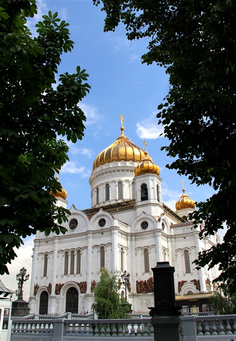 Фото жизнь
