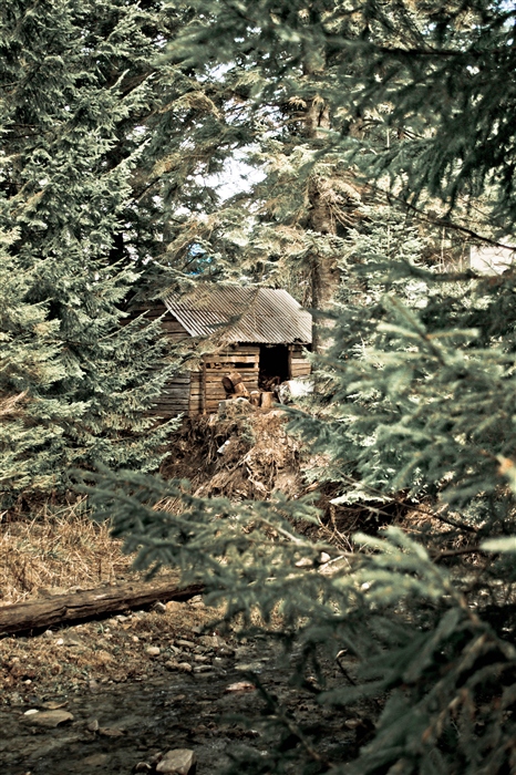 Фото жизнь