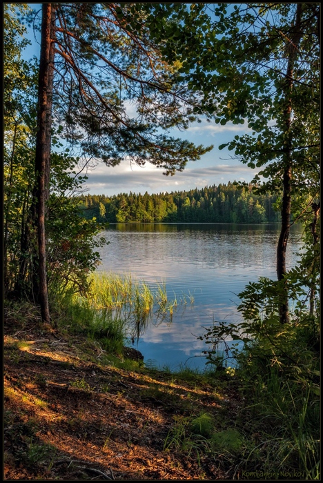 Фото жизнь