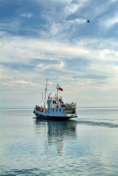 Фото жизнь