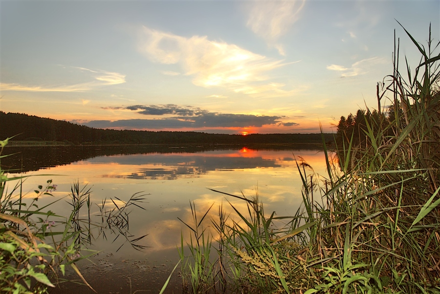 Фото жизнь