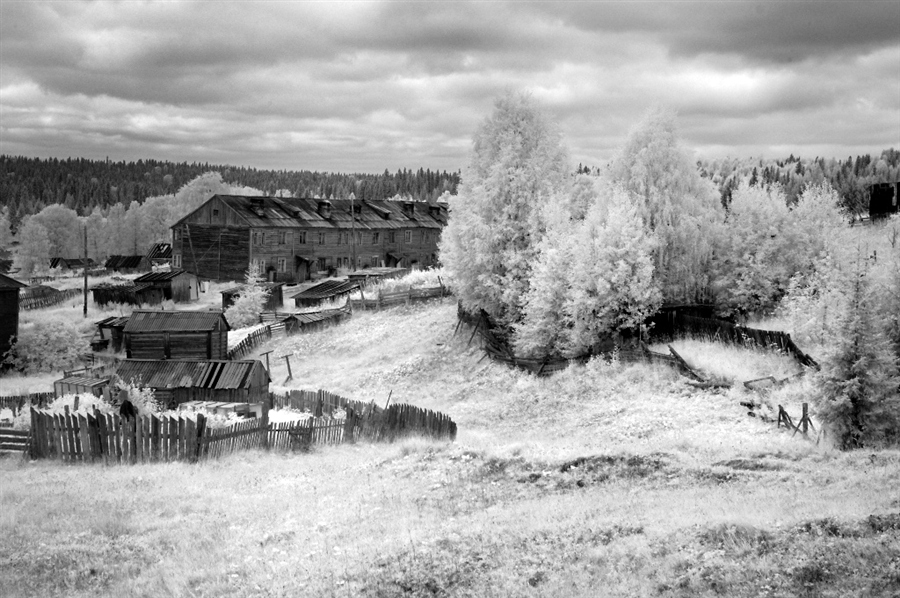 Фото жизнь