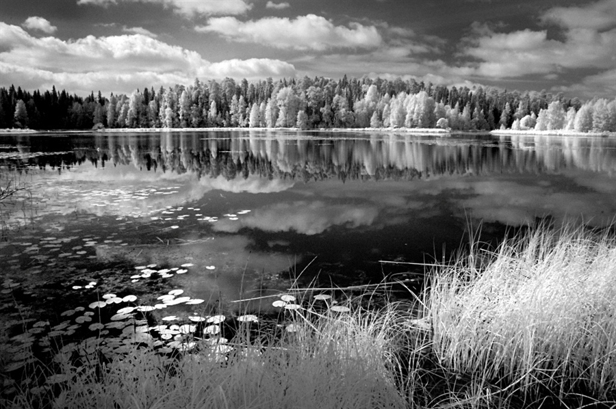 Фото жизнь
