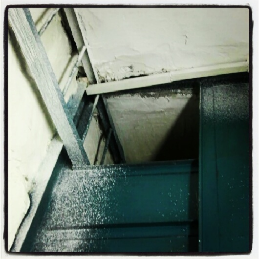 Фото жизнь (light) - serenata - корневой каталог - *