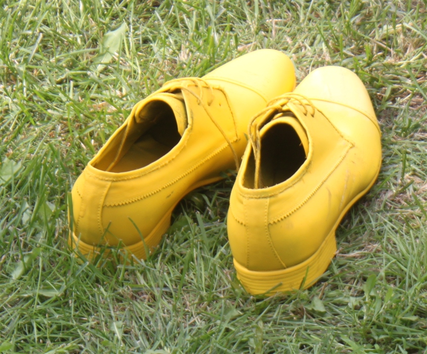Жёлтые ботинки