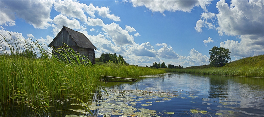 Фото жизнь