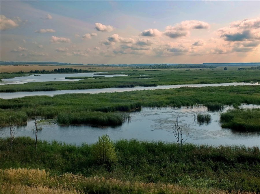 Фото жизнь