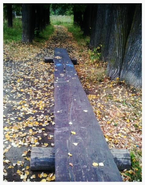 Фото жизнь (light) - serenata - корневой каталог - *