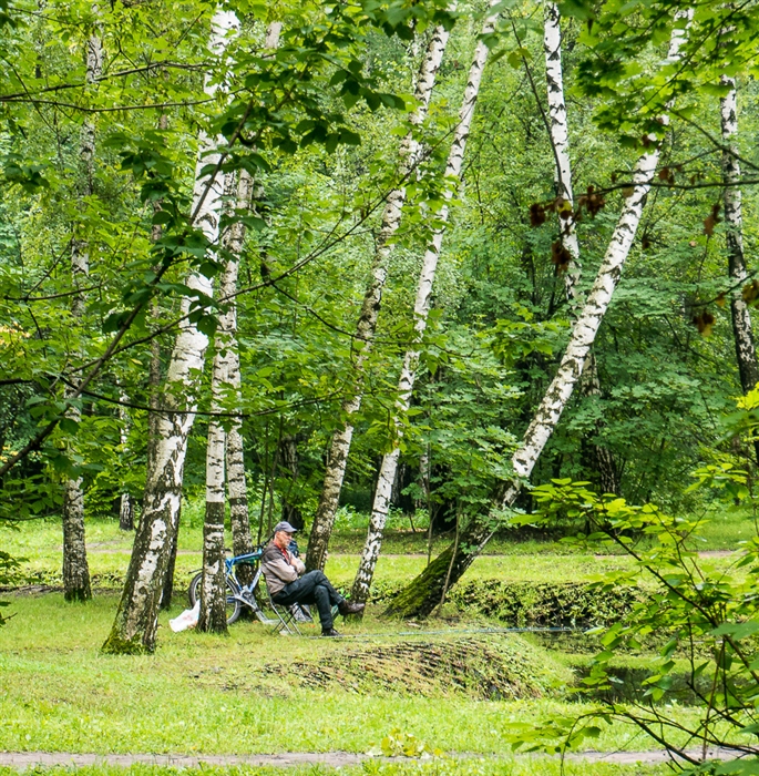 Фото жизнь