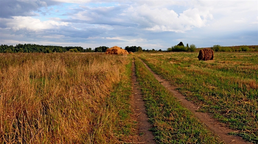 Фото жизнь