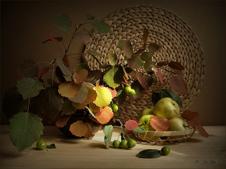 Фото жизнь (light) - Fletti - корневой каталог - Осень незрелая