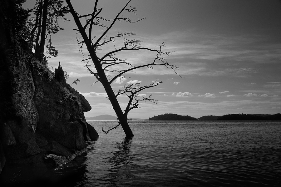 Фото жизнь (light) - Alexandr Shakhmin - Пейзаж - ***