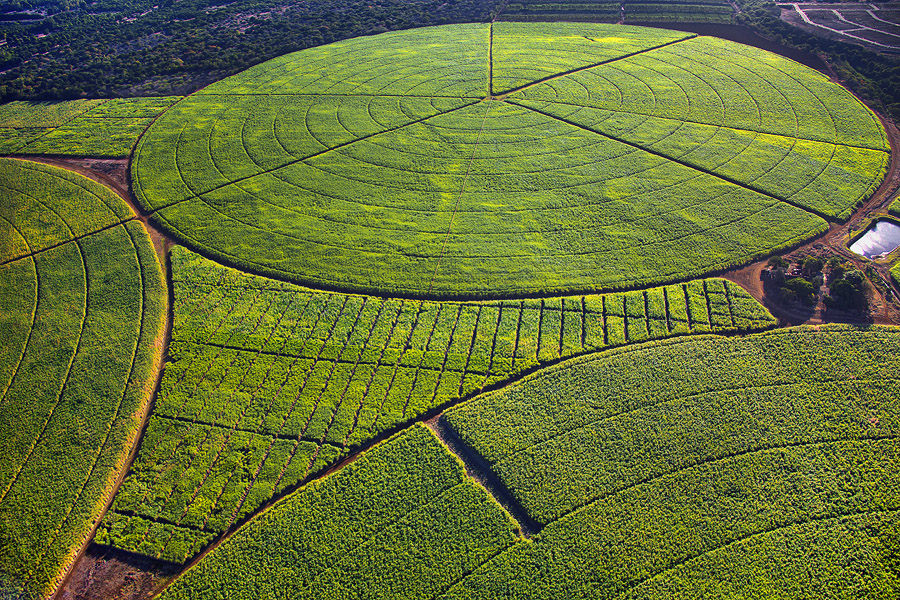 Фото жизнь (light) - Slavado   - Маврикий - Зелёные круги на полях