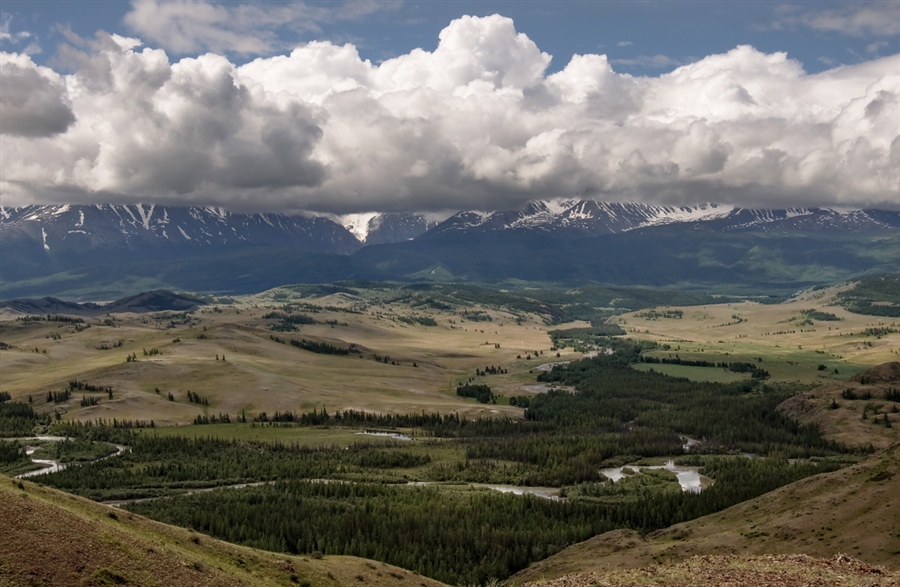 Фото жизнь