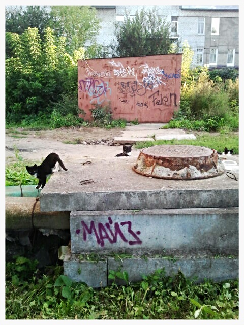 Фото жизнь (light) - serenata - корневой каталог - *