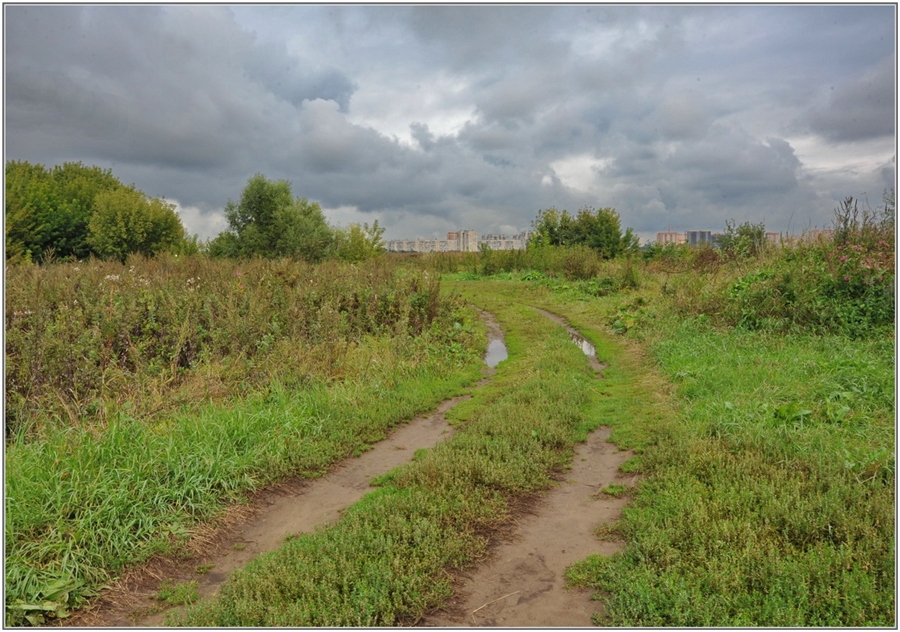 Фото жизнь