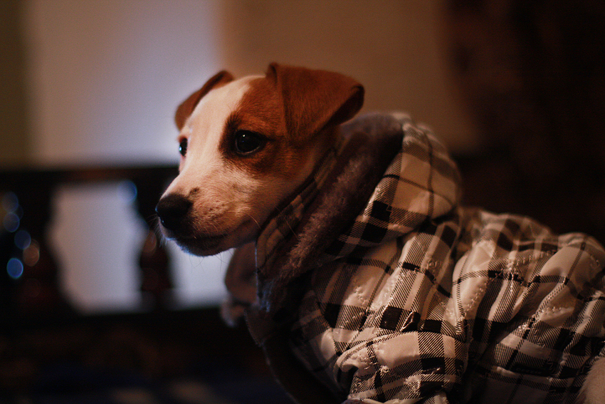 Фото жизнь (light) - Апрельская Кира - корневой каталог - ***