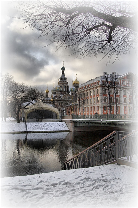 Фото жизнь