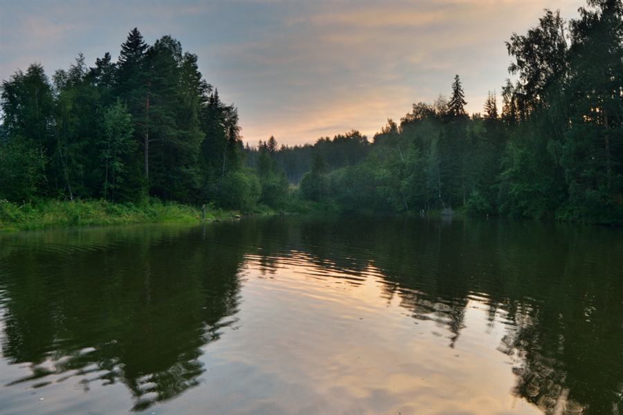 Фото жизнь