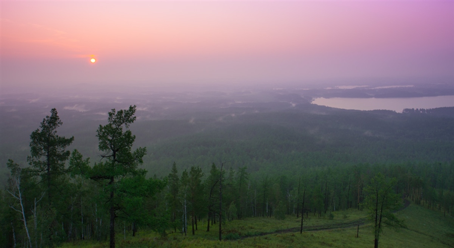 Фото жизнь