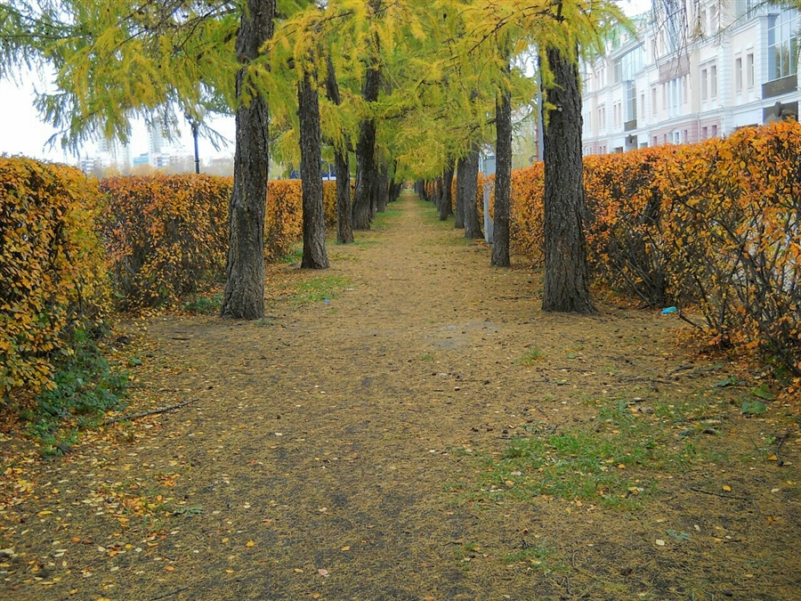 Фото жизнь