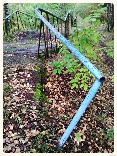 Фото жизнь (light) - serenata - корневой каталог - *