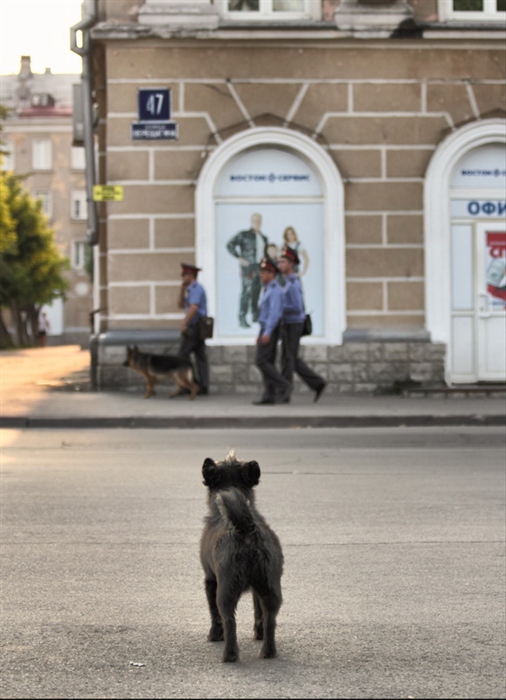 Фото жизнь