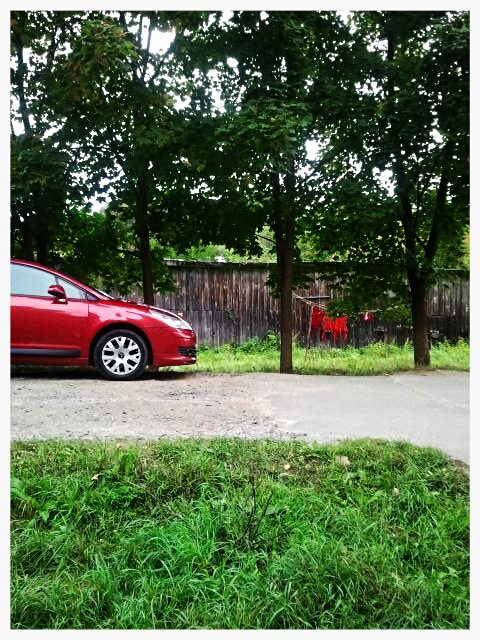 Фото жизнь (light) - serenata - корневой каталог - *