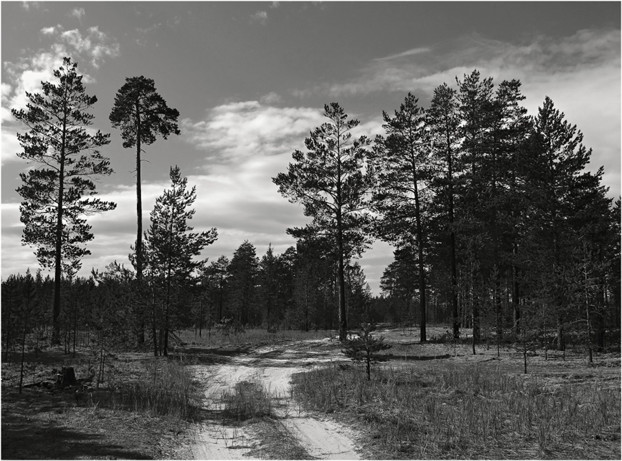 Фото жизнь