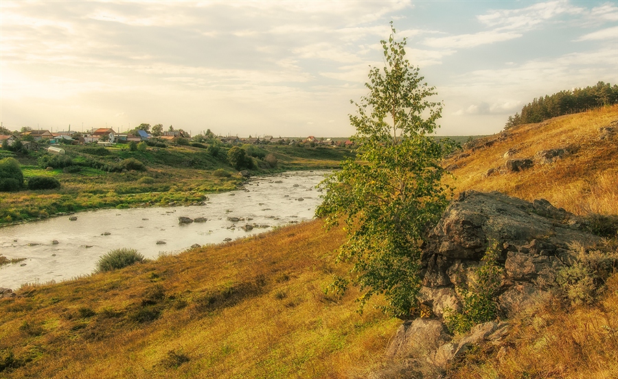 Фото жизнь