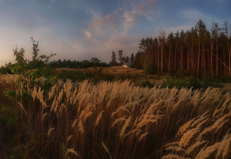 Фото жизнь