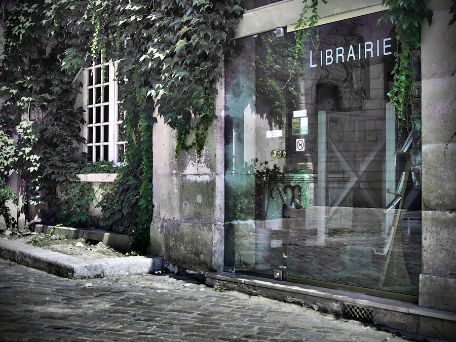 Фото жизнь (light) - Котов Вадим - Франция 2013 - как пройти в...