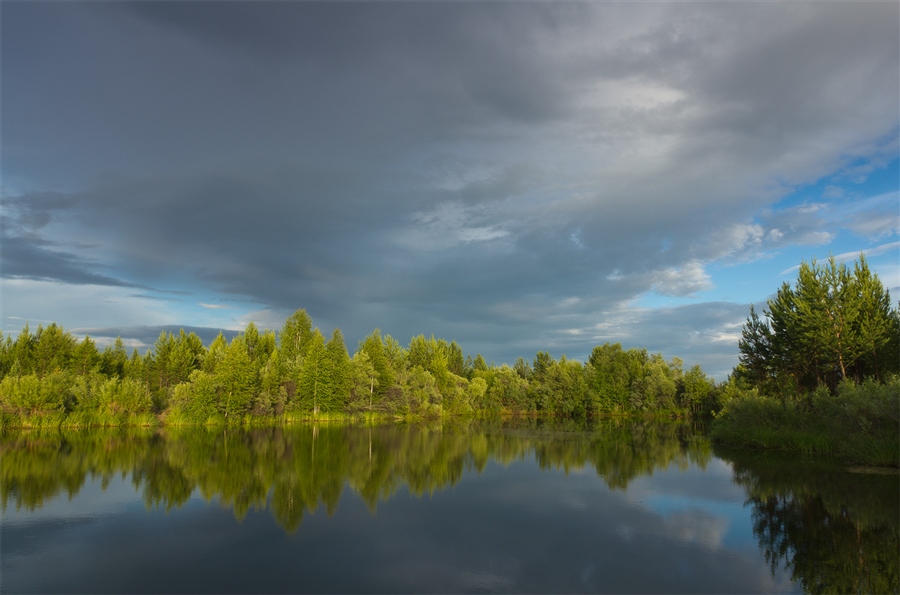 Фото жизнь