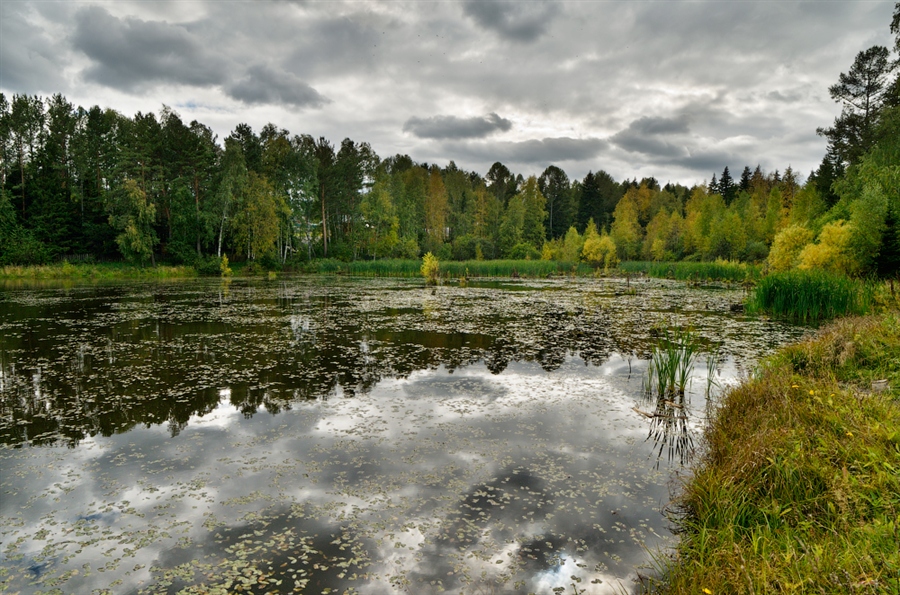 Фото жизнь