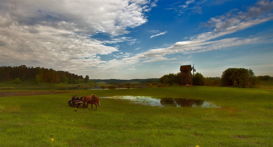 Фото жизнь
