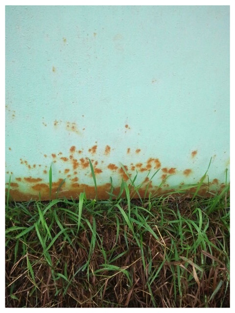 Фото жизнь (light) - serenata - корневой каталог - *