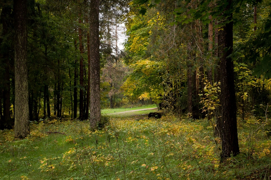 Фото жизнь