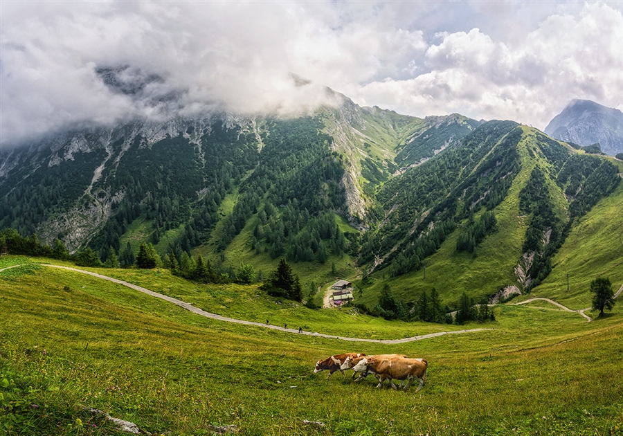 Фото жизнь