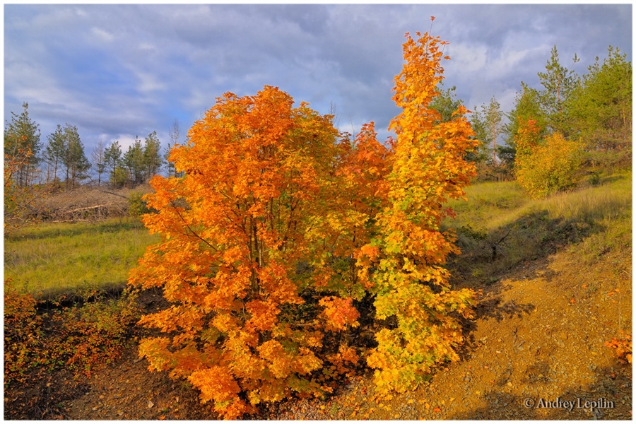 Фото жизнь