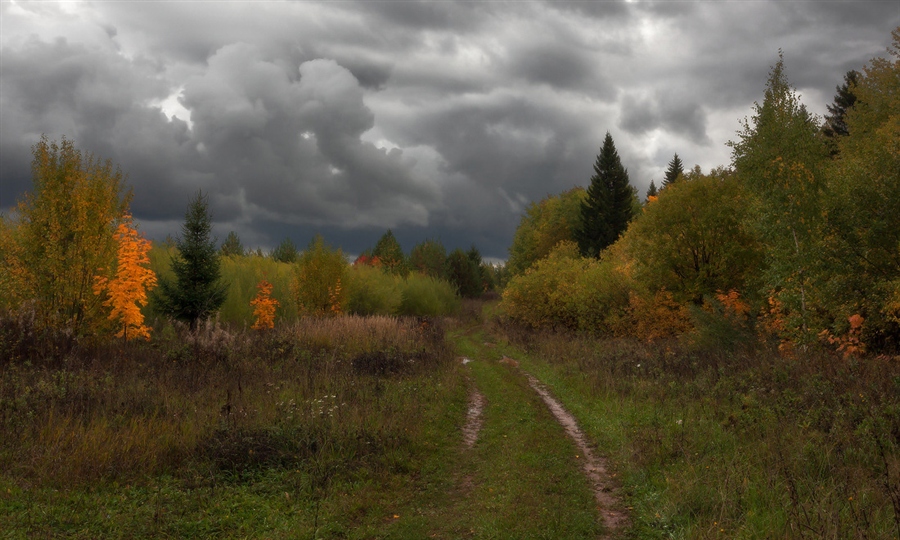 Фото жизнь