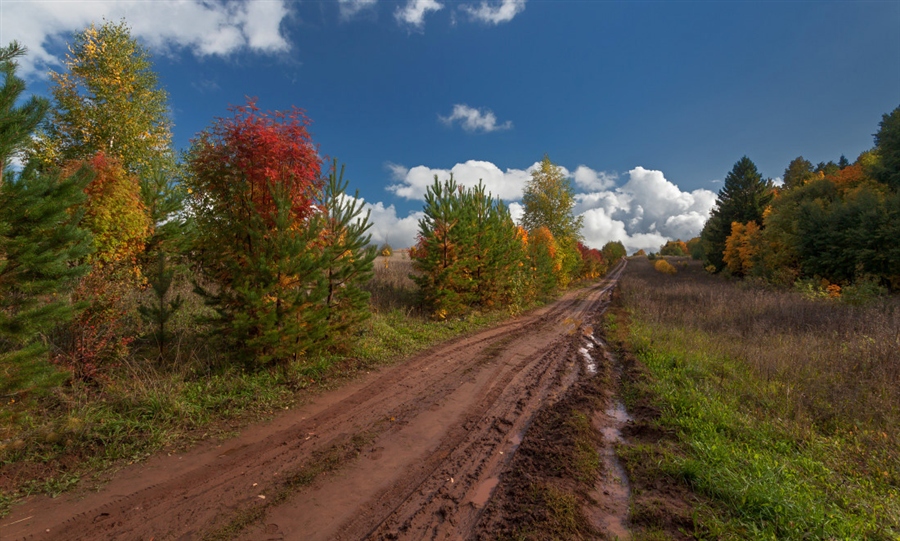 Фото жизнь