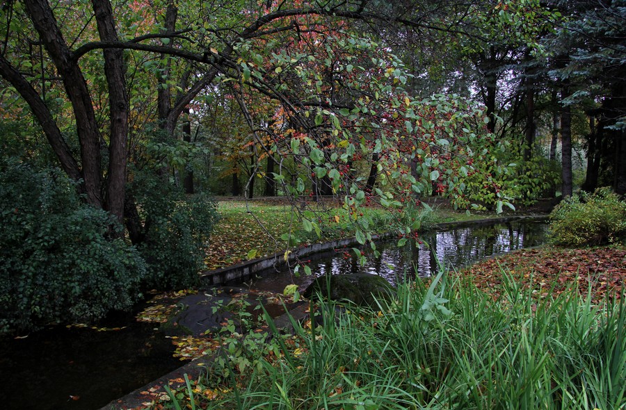 Фото жизнь (light) - SvetSvetoch - корневой каталог - Осень в японском саду