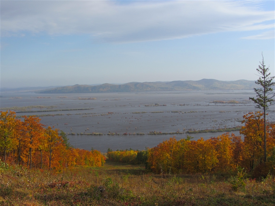 Фото жизнь
