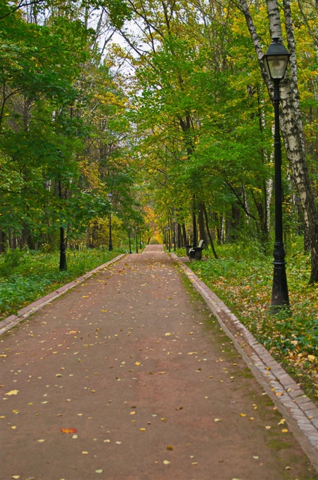 Фото жизнь
