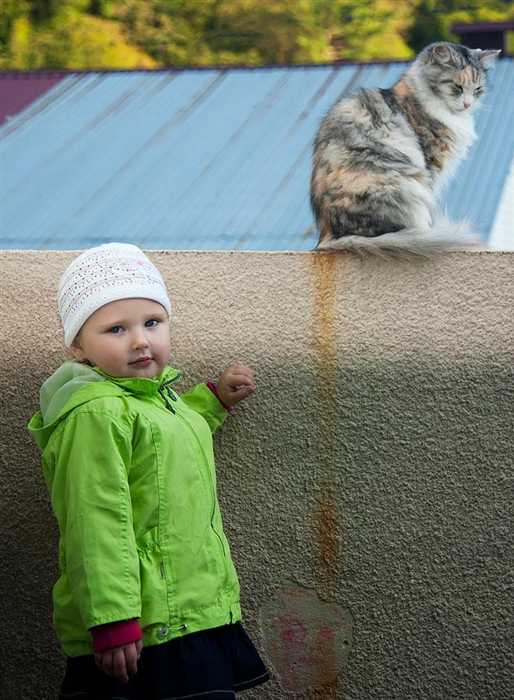 Фото жизнь