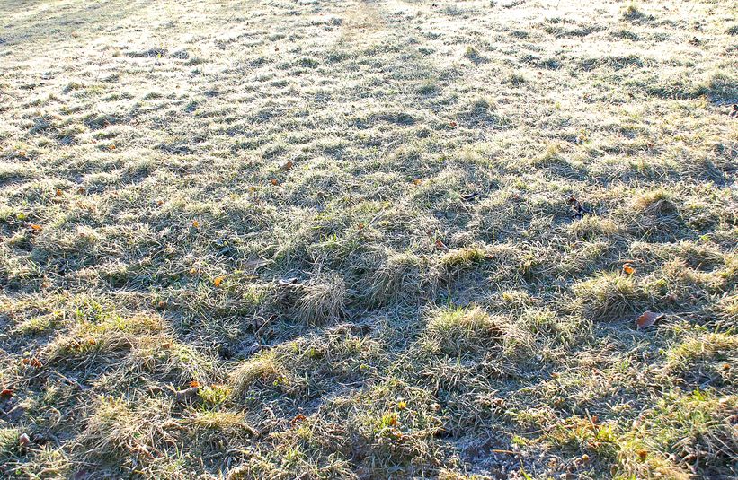 Фото жизнь (light) - starik - корневой каталог -  Дождались