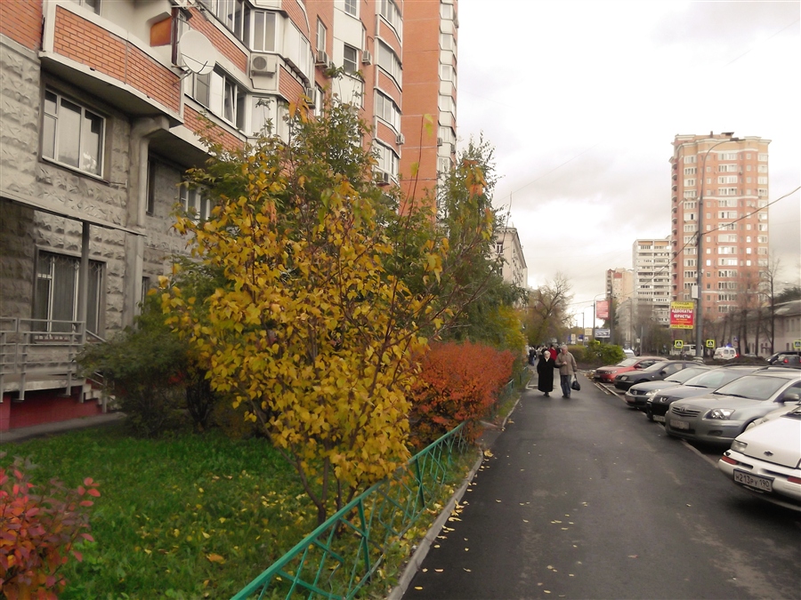Фото жизнь