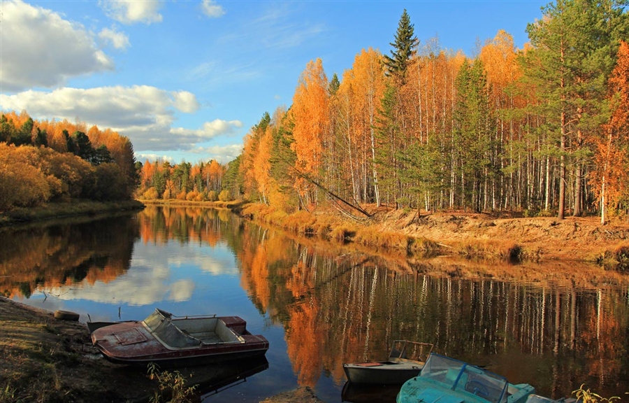 Фото жизнь