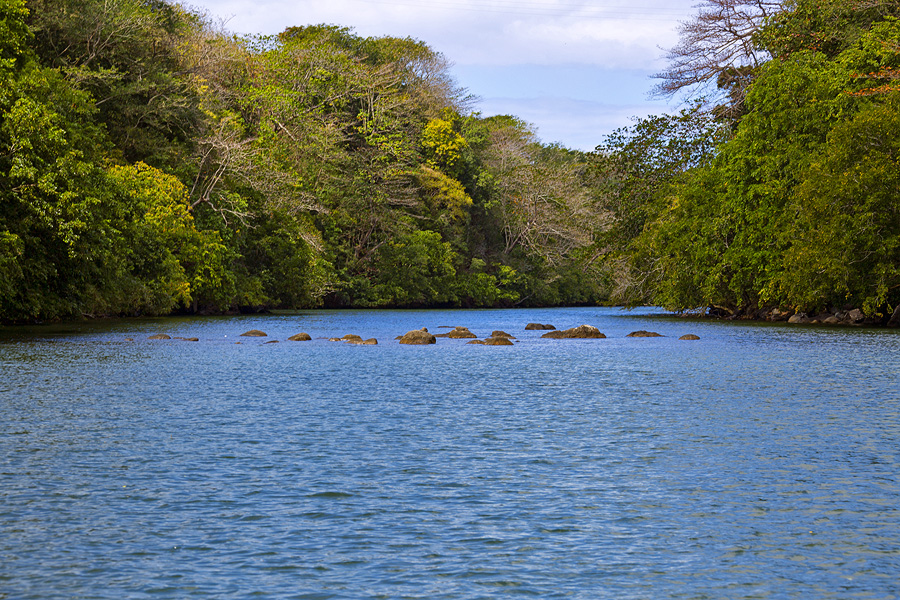 Фото жизнь (light) - Slavado   - Маврикий - Слоны переходят реку